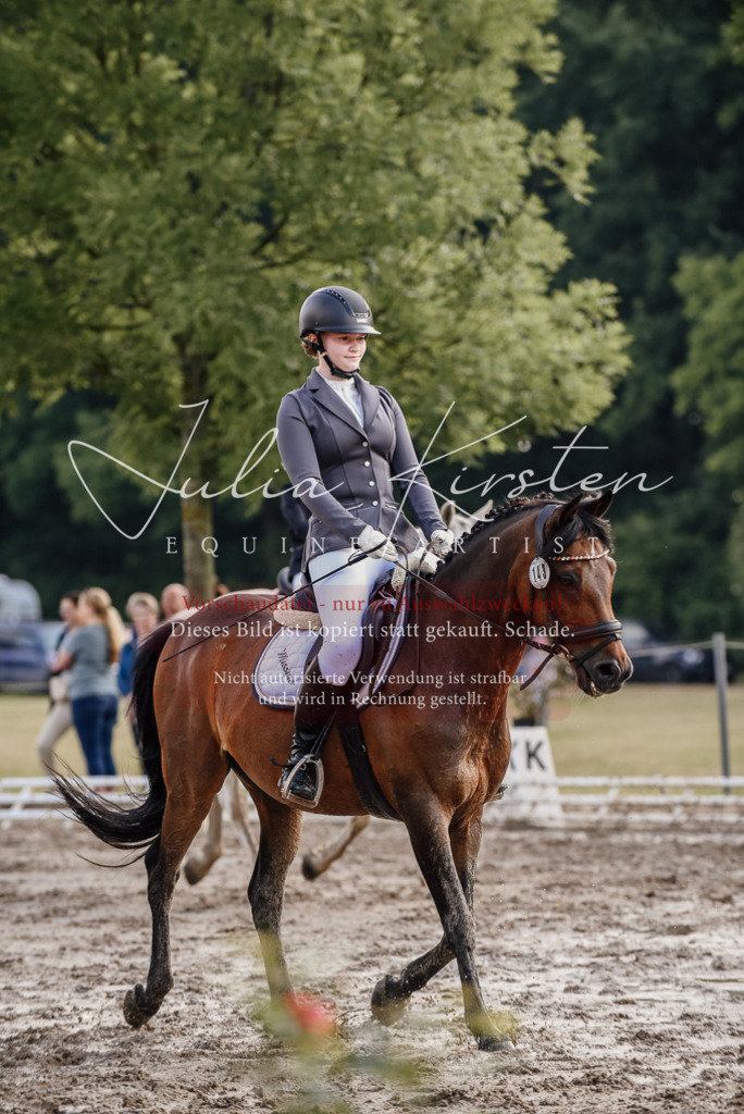 DSC_8399 | Pferde- und Turnierfotografie in Westsachsen. Pferdeportraits, Auftragszeichnungen und intuitive Kunst.