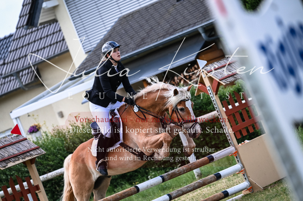 DSC_8114 | Pferde- und Turnierfotografie in Westsachsen. Pferdeportraits, Auftragszeichnungen und intuitive Kunst.