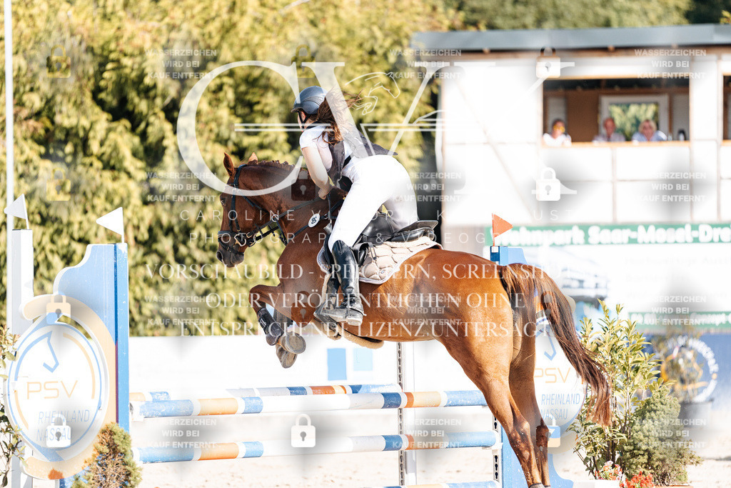 CK909358 | Turnierfotografie Pferdefotografie Trier Rheinland-Pfalz Pferdesport Reitsport Tierfotografie Sportfotografie Pferdevideo Pferdevideografie Equestrianvideography equestrianphotography  - Realisiert mit Pictrs.com