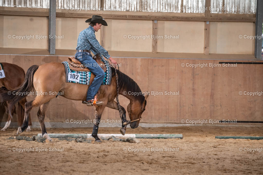 SBS00852 | BS-foto