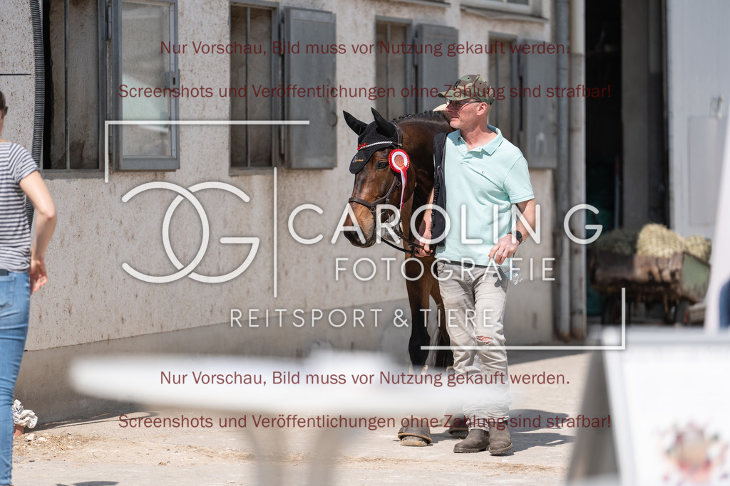DSC00702 | Turnierfotografin Carolin Gieschke, Turnierfotografie Carolin G Fotografie, Turnierfotos Kirchheim/Teck, Esslingen, Stuttgart, Bodenseekreis