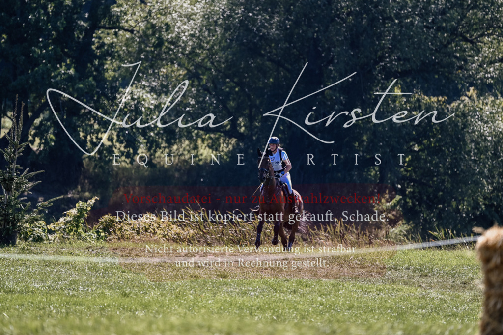 DSC_1967 | Pferde- und Turnierfotografie in Westsachsen. Pferdeportraits, Auftragszeichnungen und intuitive Kunst.