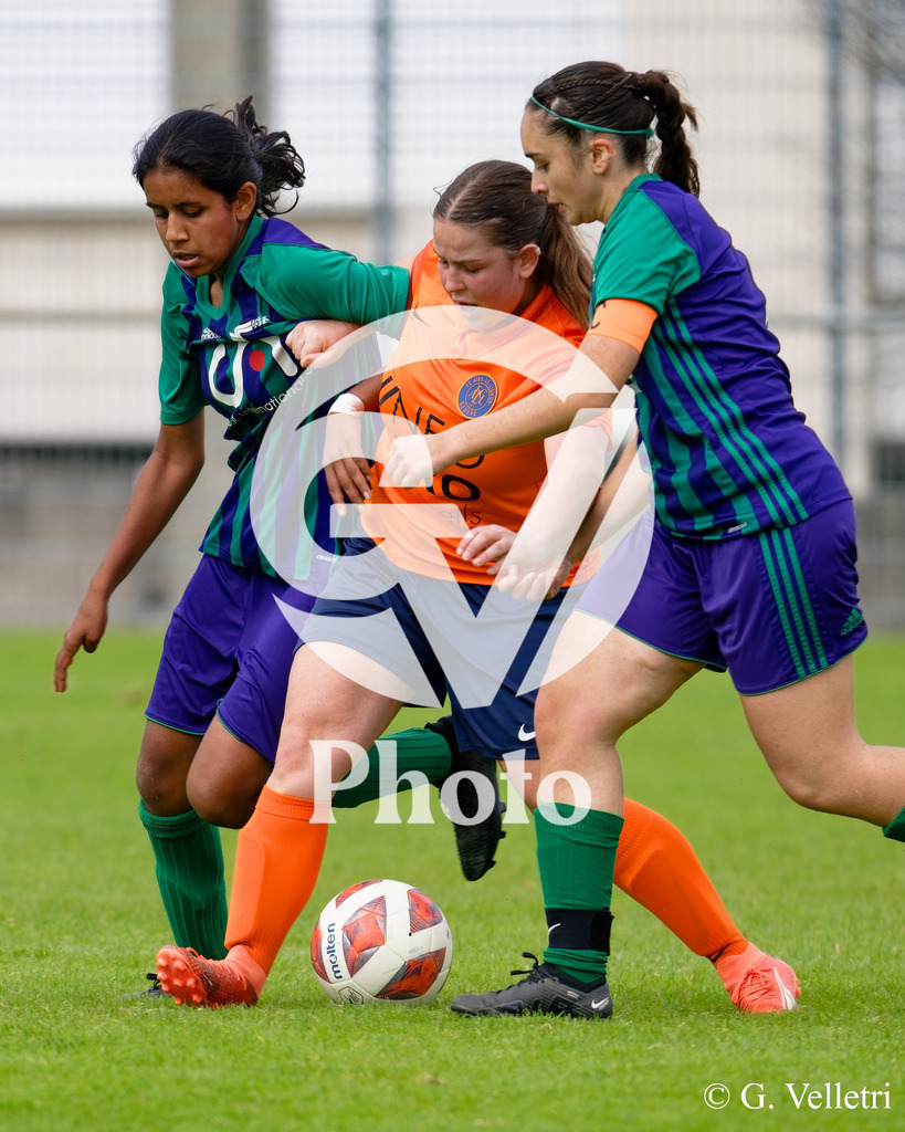 DSC_5646 | Velletri Photo