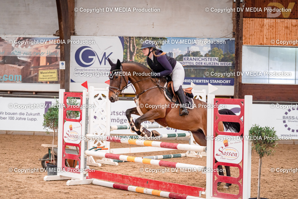 Kranichstein II Tag 1-385 | dv-media-shop - Realisiert mit Pictrs.com