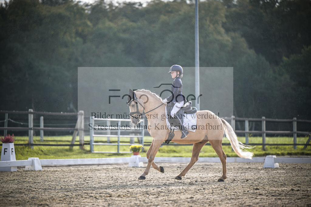 DOS_4854 | Entdecke hochwertige Reitturnierfotos von Foto Oger. Professionell, emotional und authentisch – jetzt Lieblingsmomente im Shop bestellen.Deutschlandweite Turnierfotografie. - Realisiert mit Pictrs.com
