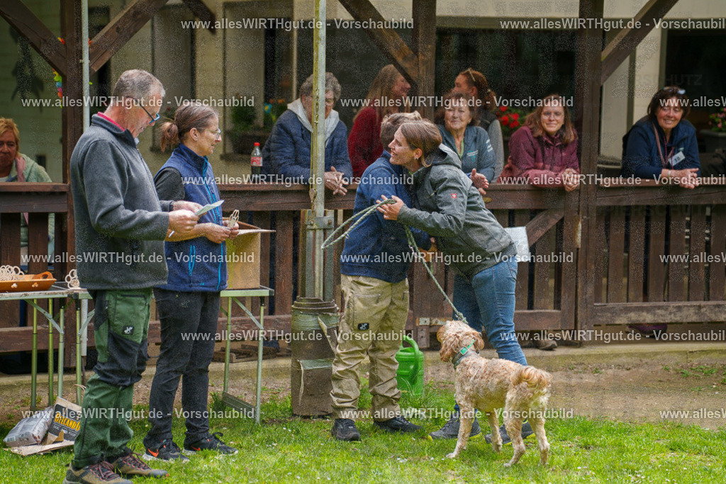 @allesWIRTHgut_Tierfotografie - www.allesWIRTHgut.de - 114854-7R508566 | Professionelle Tierfotografie in Mönchengladbach von Daniel Wirth (allesWIRTHgut). Liebevolle & natürliche Bilder von Hunden & Katzen für unvergessliche Erinnerungen.