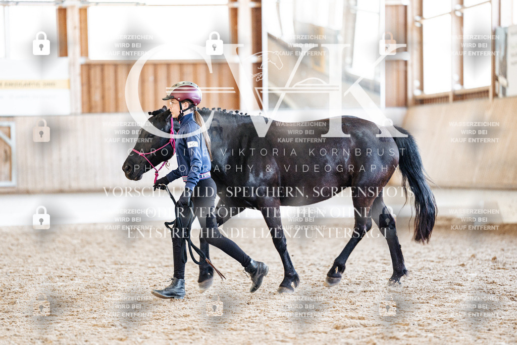 CK906818 | Turnierfotografie Pferdefotografie Trier Rheinland-Pfalz Pferdesport Reitsport Tierfotografie Sportfotografie Pferdevideo Pferdevideografie Equestrianvideography equestrianphotography  - Realisiert mit Pictrs.com