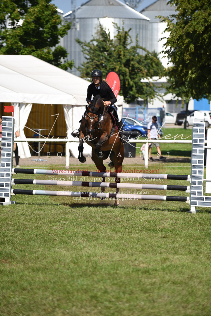 DSC_9543 | Pferde- und Turnierfotografie in Westsachsen. Pferdeportraits, Auftragszeichnungen und intuitive Kunst.