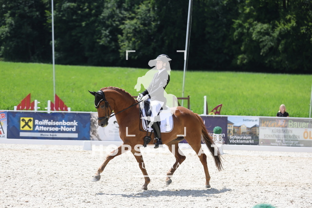 0P6A1199 | Willkommen bei Brunnmayr - Design & Fotografie – Ihrem Spezialisten für Reitturniere und Pferdeveranstaltungen in Oberösterreich, Salzburg und Bayern! Seit über 17 Jahren sind wir leidenschaftlich dabei.