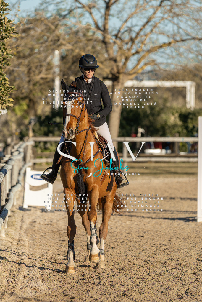 IMG_2488 | s-jay-photography - Realisiert mit Pictrs.com