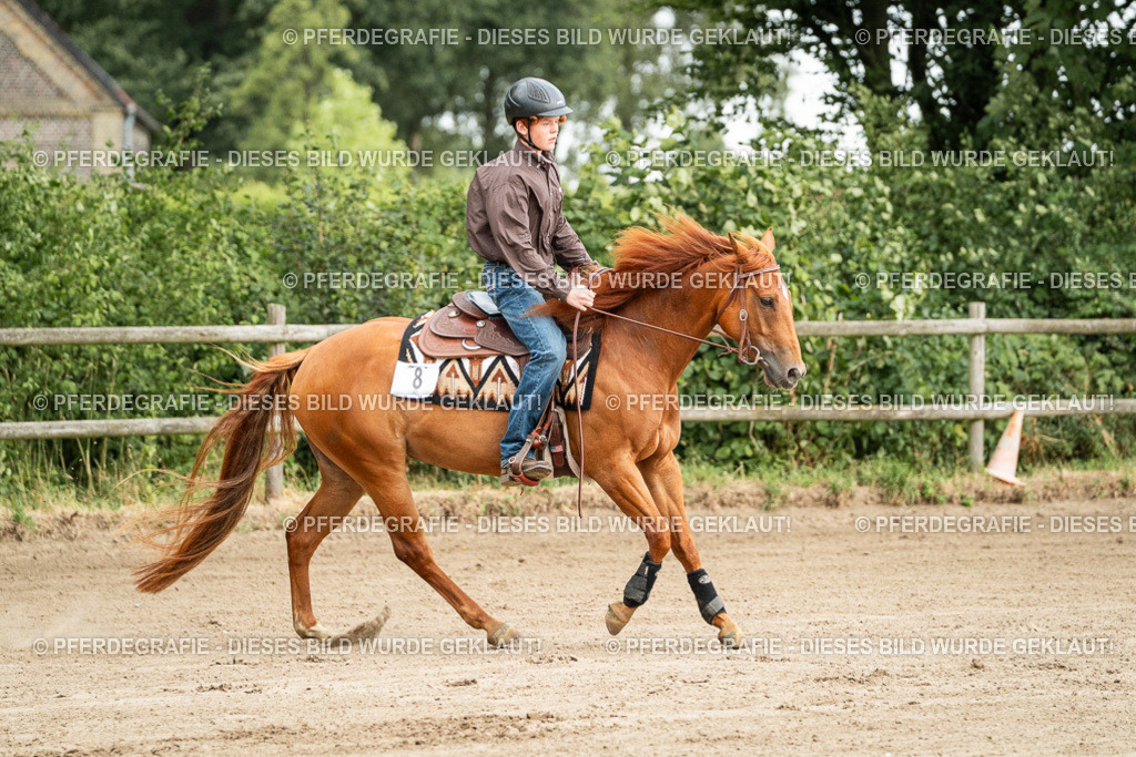 DSC04813 | Pferdegrafie