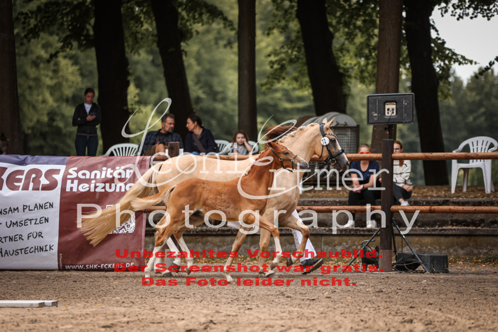 8.So00059 | Leoni Ertmer Photography - Realisiert mit Pictrs.com