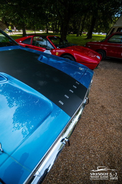 _DSC2902 | hermsdorfmarketing