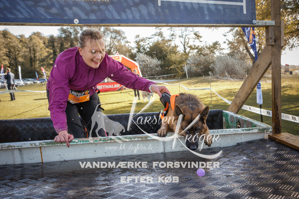 1226_ZZ96296-2 | kk-dogfotos