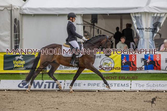 27.07.25 OLT D1 48 DR (48) | mandyhollmannphotographie