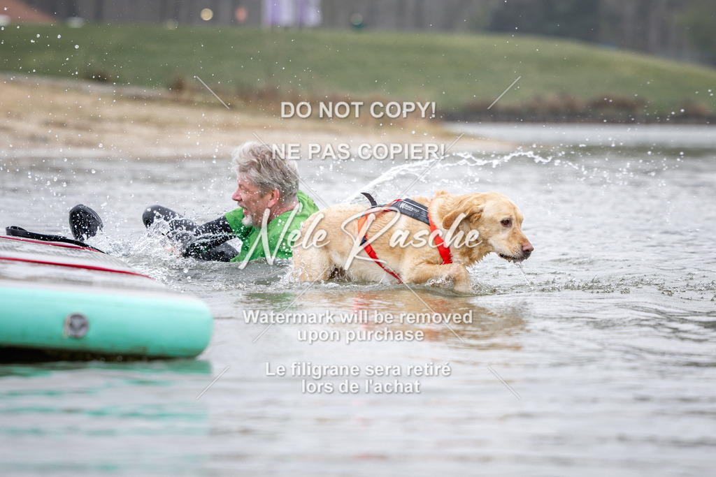 nelerasche_Hulsbeek_Sa1030-1100_673 | nelerasche