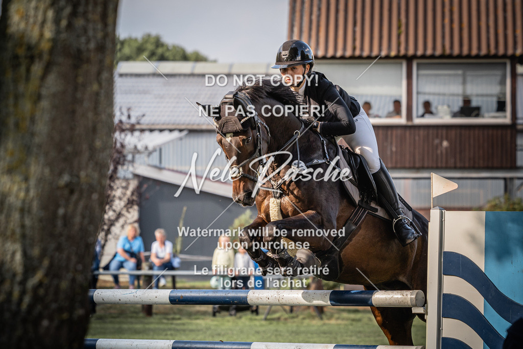 nelerasche_SprM_120Ede_54 | nelerasche