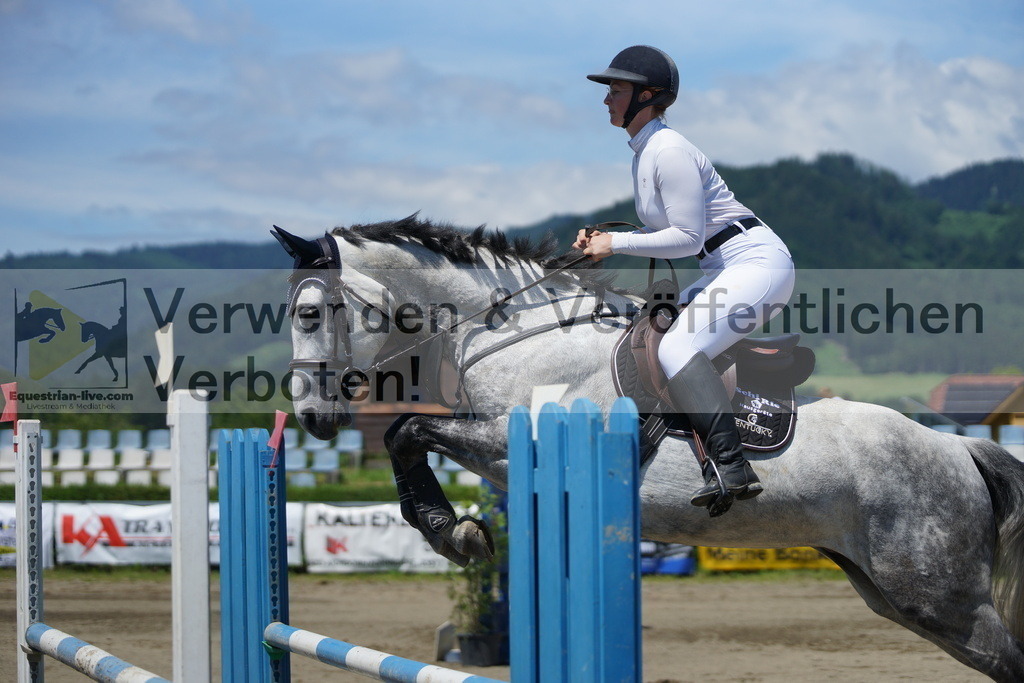 DSC06137 | equestrian-live-com
