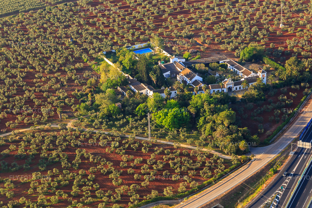 Aerial view: Hacienda nueva del Rosario between olive groves in Dos Hermanas in the state Seville, Spain. – Photo: IMG_145713.jpg taken on 04/22/2025 by Werner Riehm/FLY-FOTO.com – Resolution of the original: 4992 x 3328 px