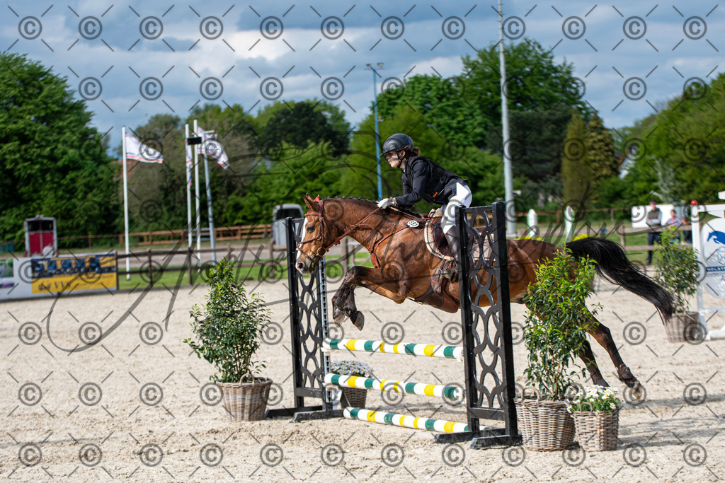 KPT_6655 | andre_photographic