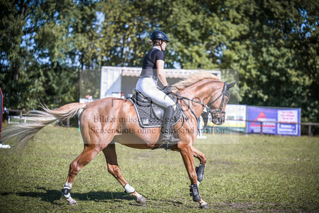 DOS_0416 | Entdecke hochwertige Reitturnierfotos von Foto Oger. Professionell, emotional und authentisch – jetzt Lieblingsmomente im Shop bestellen.Deutschlandweite Turnierfotografie. - Realisiert mit Pictrs.com