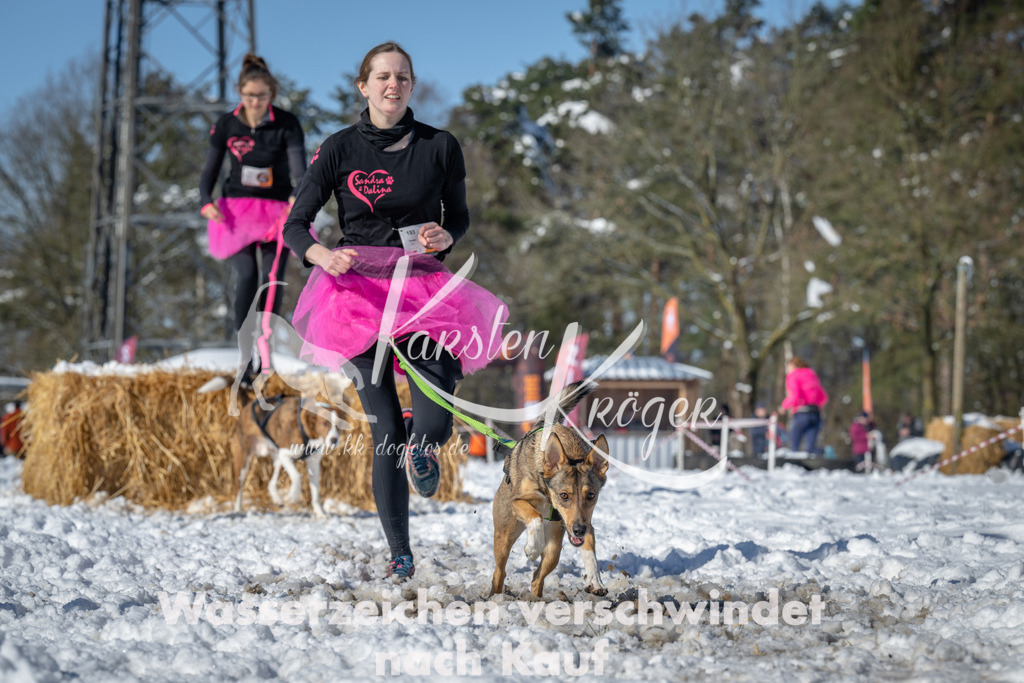 1103_ZZ94535-2 | kk-dogfotos