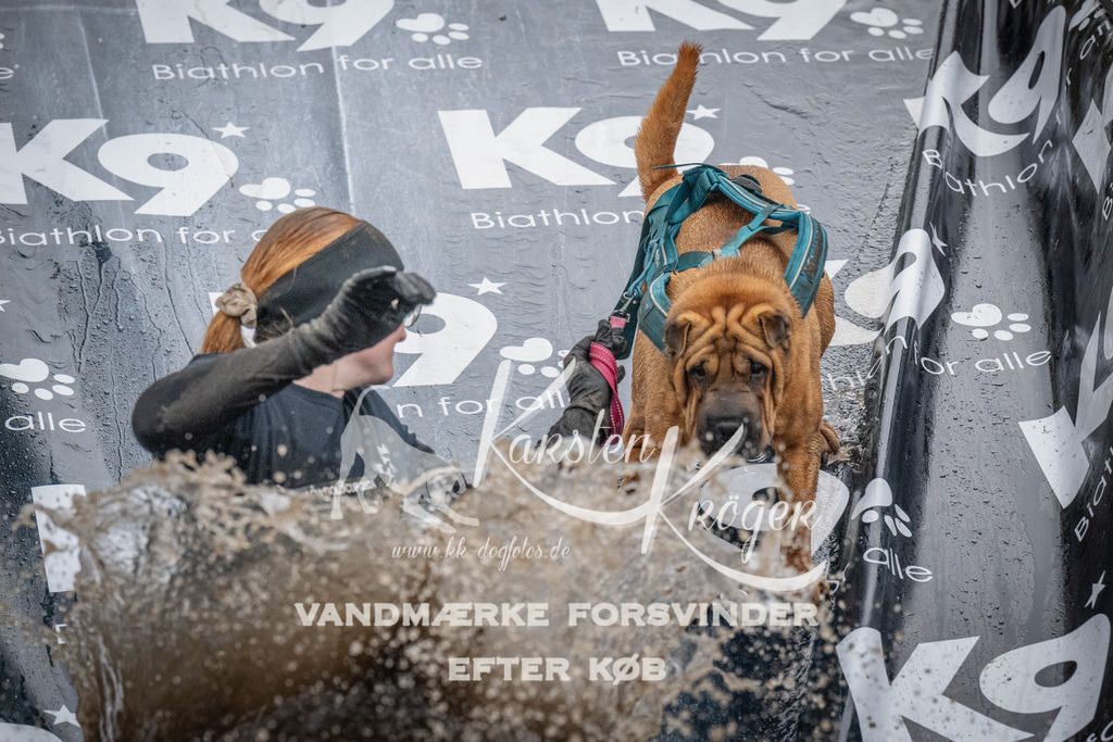 1155_ZZ93867 | kk-dogfotos