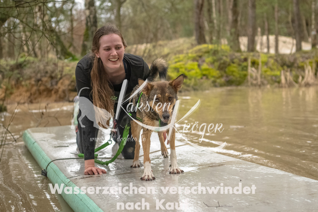 0858_ZZ90021-Bearbeitet | kk-dogfotos