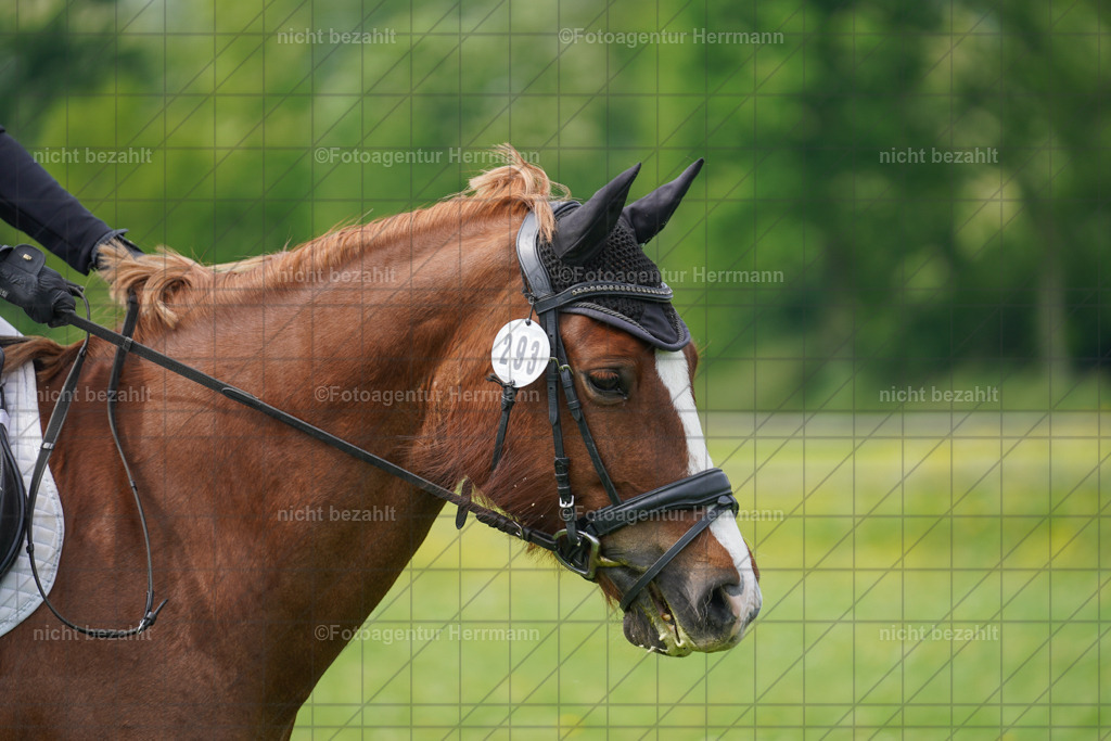 20240509-FAH02833 | Turnierbilder der Turnierfotografen Bayern, Pferdesport Fotografie, Reitsportbilder, Turnier Landberg am Lech, Turnierbilder bayern, Fotoagentur Herrmann
