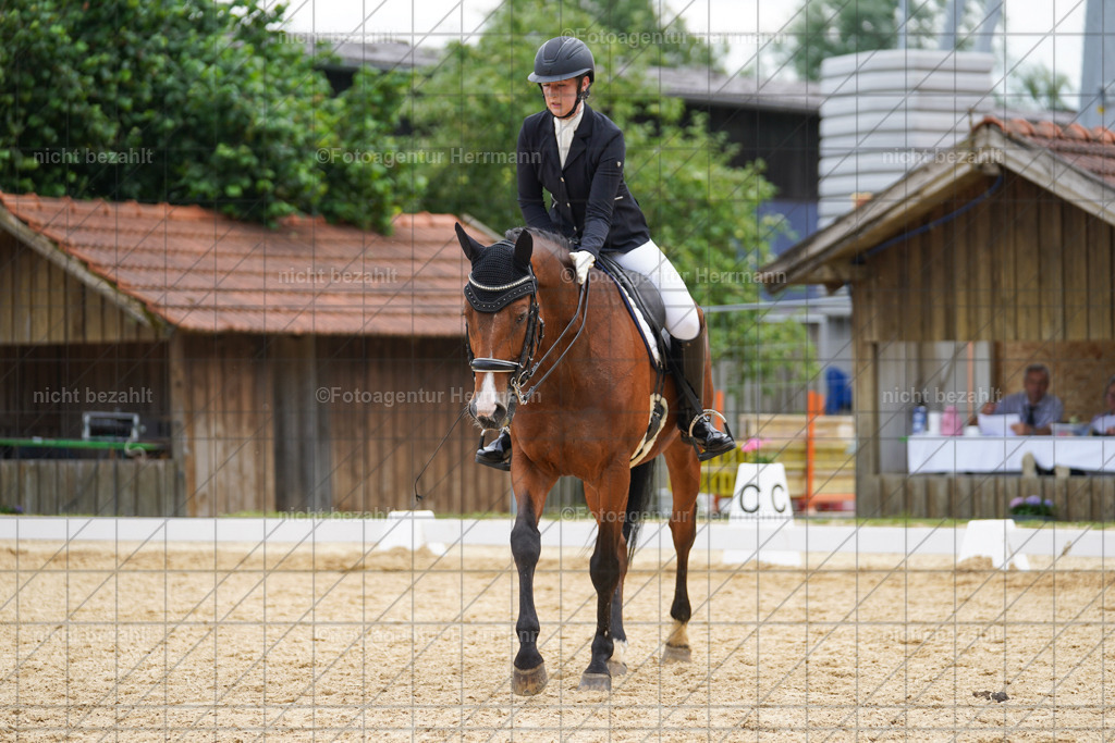 20240630-FAH02077 | Turnierbilder Schwabmünchen, Dressurbilder, Springreitturnier, Reitsportbilder, Turnierfotografen Bayern, Turnierfotograf
