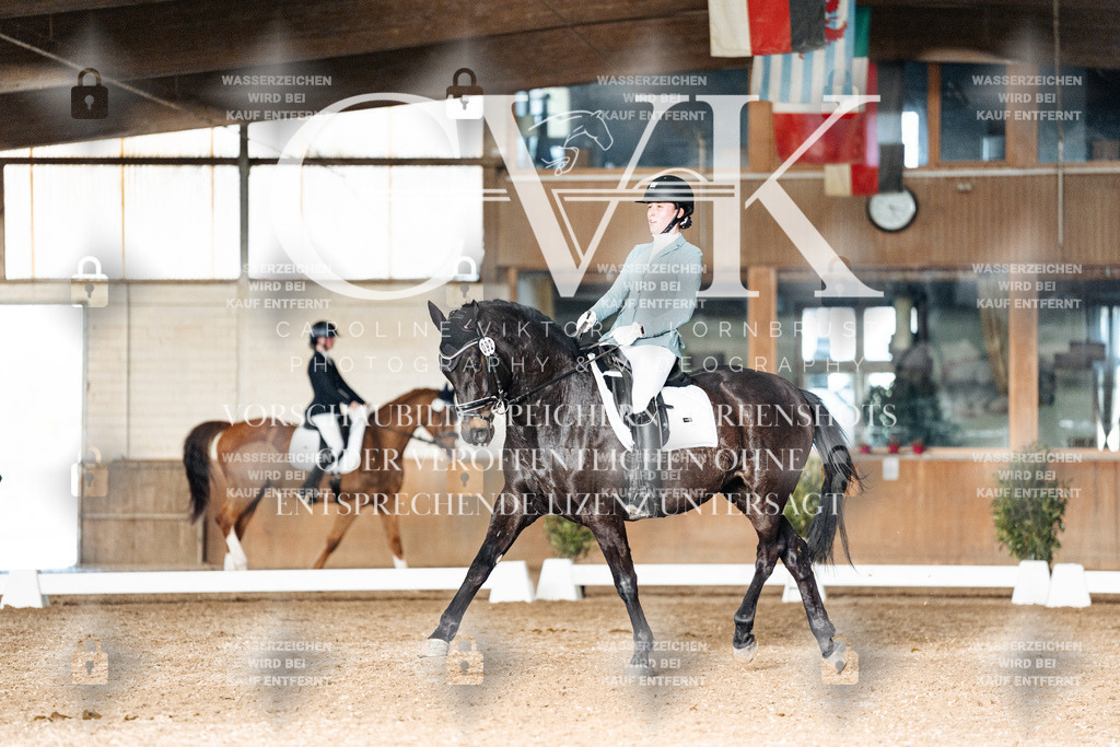 CK903205 | Turnierfotografie Pferdefotografie Trier Rheinland-Pfalz Pferdesport Reitsport Tierfotografie Sportfotografie Pferdevideo Pferdevideografie Equestrianvideography equestrianphotography  - Realisiert mit Pictrs.com