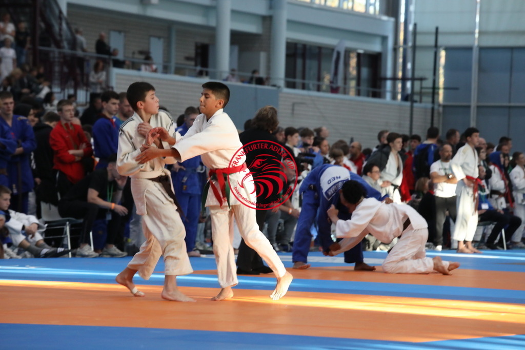 1J7A2351 | Fotos vom Adler Cup - Pictures from Adler Cup

Hier findet Ihr alle Eindrücke und großen Momente der Adler Cup Wochenenden. Here you will find all impressions and great moments of the Adler Cup weekends. - Realisiert mit Pictrs.com