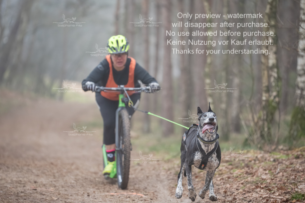 Scooter1-147 | stephaniefillaphotographie - Realisiert mit Pictrs.com