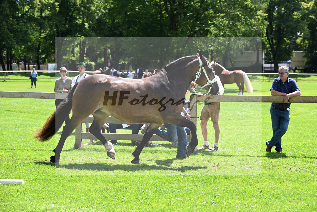 Kat-Nr. 42 Goldstueck v. Schwanstein_Manhart_22240732 | hf-fotografie - Realizzato con Pictrs.com