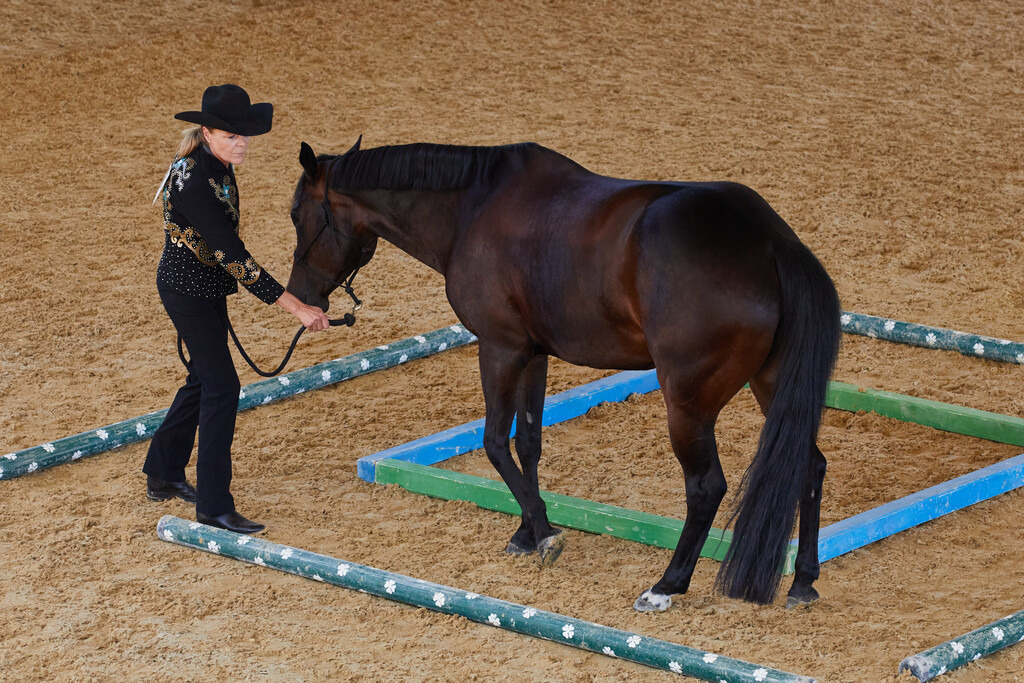 2020_07_19 Schweizersbild 140 | Peter Fridle Fotografie - Realisiert mit Pictrs.com