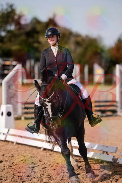 2026_10_03_Siefer-Hof_131854_Z81_67308871 | Professionelle Reitsport-, Turnier- und Eventfotografie von Robert Broda. Galerien mit ausgewählten und bearbeiteten Bildern direkt online ansehen und bestellen.