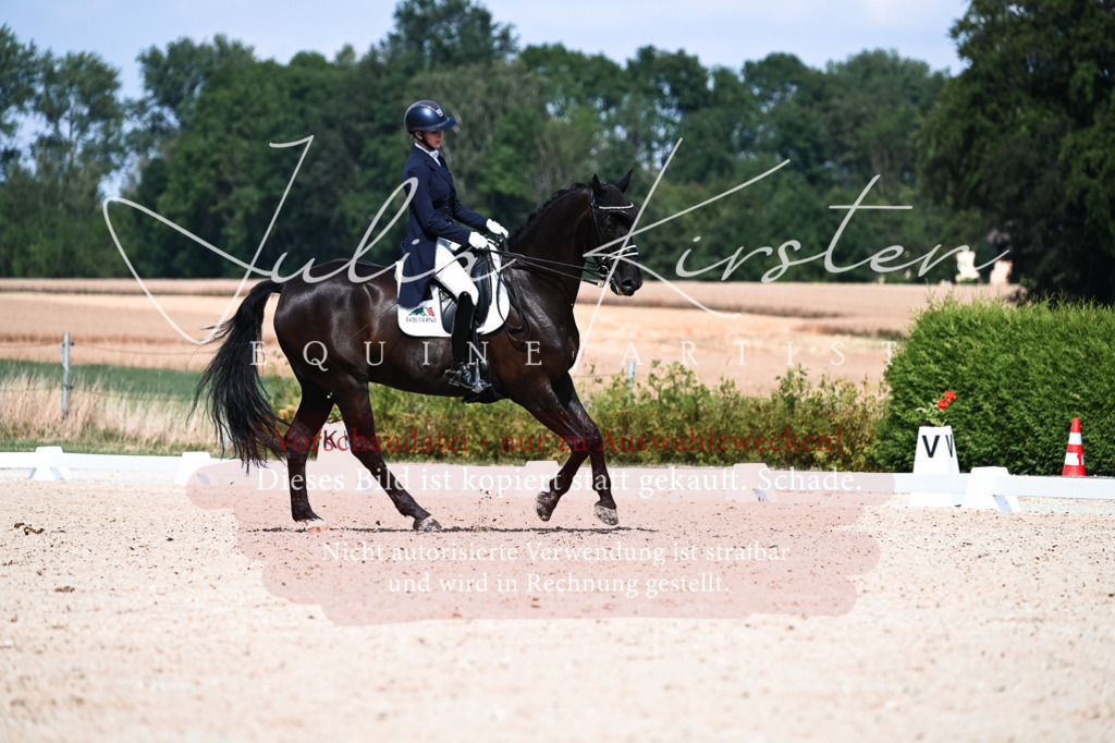 DSC_3164 | Pferde- und Turnierfotografie in Westsachsen. Pferdeportraits, Auftragszeichnungen und intuitive Kunst.