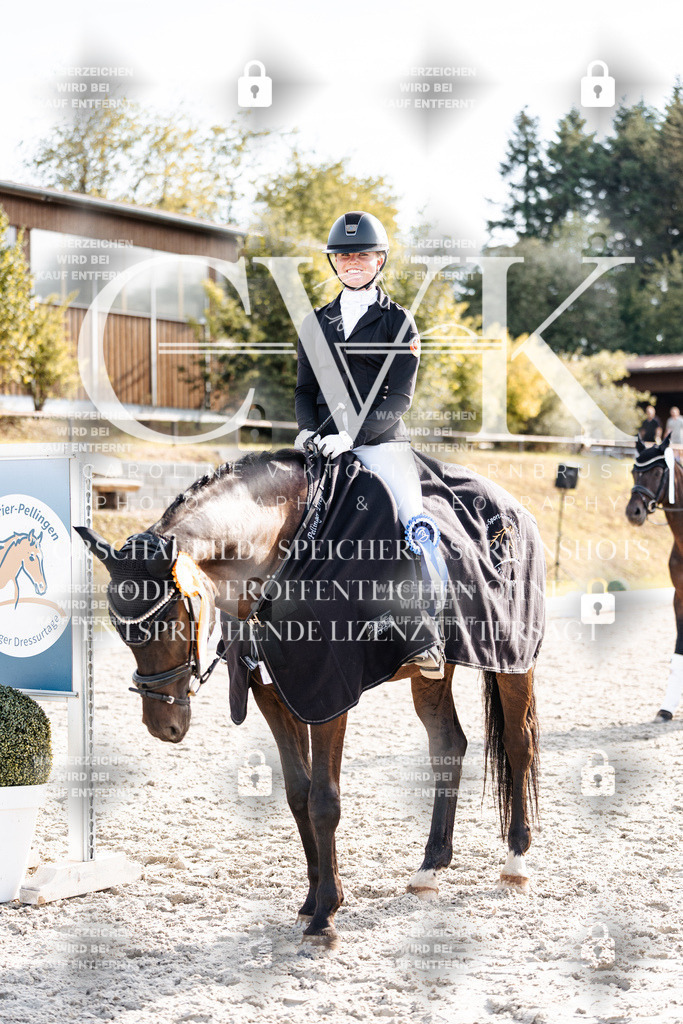 CK901785 | Turnierfotografie Pferdefotografie Trier Rheinland-Pfalz Pferdesport Reitsport Tierfotografie Sportfotografie Pferdevideo Pferdevideografie Equestrianvideography equestrianphotography  - Realisiert mit Pictrs.com