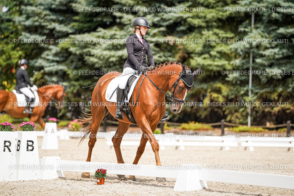 DSC03845 | Pferdegrafie