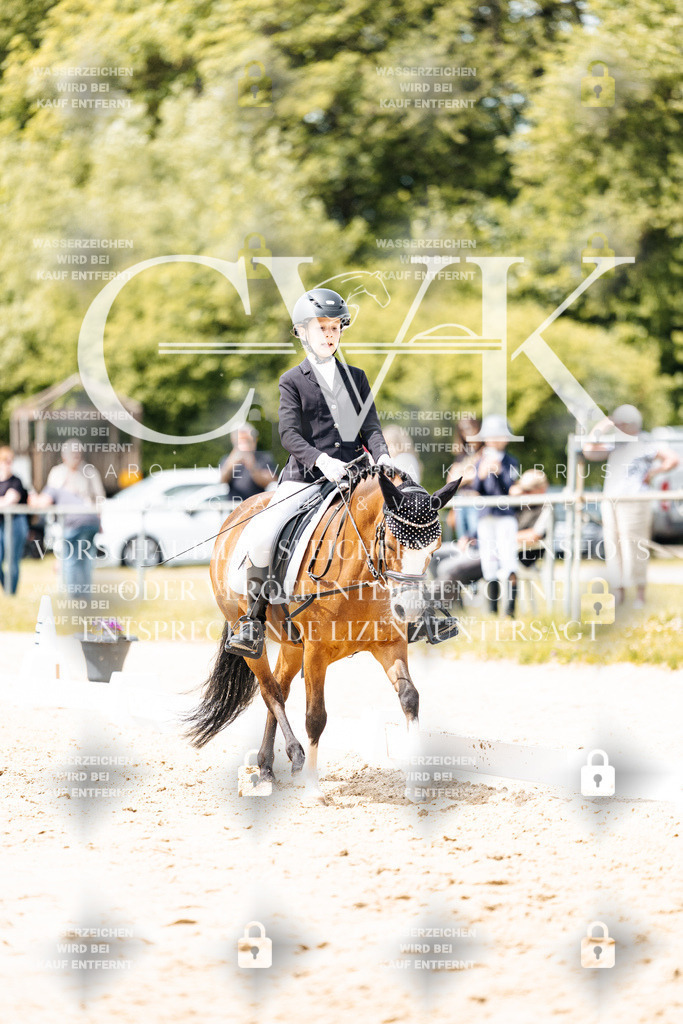 CK902425 | Turnierfotografie Pferdefotografie Trier Rheinland-Pfalz Pferdesport Reitsport Tierfotografie Sportfotografie Pferdevideo Pferdevideografie Equestrianvideography equestrianphotography  - Realisiert mit Pictrs.com