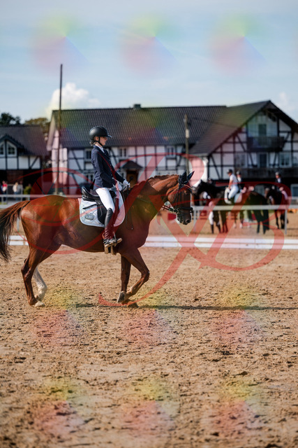 2026_10_03_Siefer-Hof_132844_Z63_89851257 | Professionelle Reitsport-, Turnier- und Eventfotografie von Robert Broda. Galerien mit ausgewählten und bearbeiteten Bildern direkt online ansehen und bestellen.
