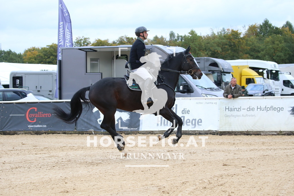 DL2Q5732 | Willkommen bei Brunnmayr - Design & Fotografie – Ihrem Spezialisten für Reitturniere und Pferdeveranstaltungen in Oberösterreich, Salzburg und Bayern! Seit über 17 Jahren sind wir leidenschaftlich dabei.