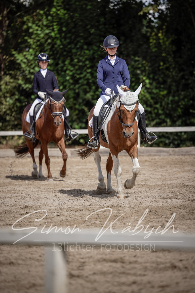 20250906-_3LI5463 | Tierfotografie Pferde, Hunde, Katzen, Haustiere.
Turnierfotografie Reitturniere, Reiten, Springreiten, Dressur in Hanau, dem Main-Kinzig-Kreis und dem Rhein-Main- Gebiet um Frankfurt