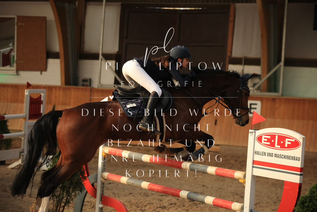 IMGT1131 | pl-fotografie