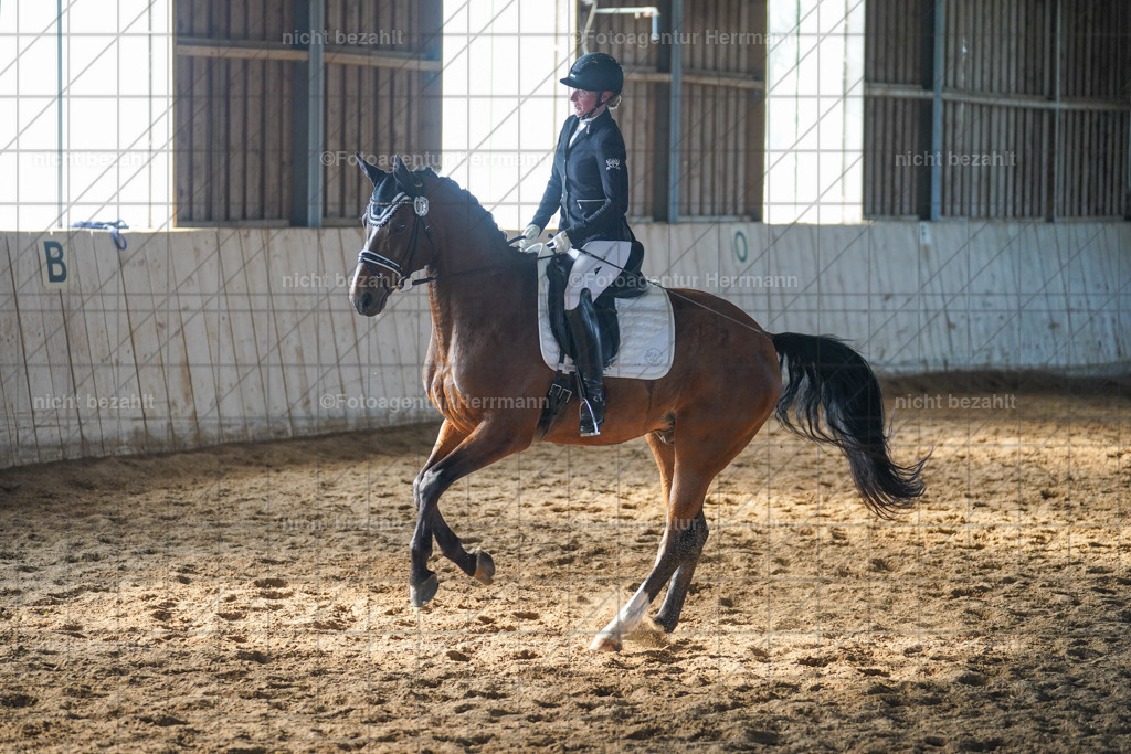 20230917-FAH09977 | Landsberg am Lech, 2023, Kaufbeuren, Kempten, Allgäu, Turnierfotografen Bayern, Fotoagentur Herrmann, Turnierbilder, Reitsport Fotos, Pferdefotograf, Augsburg, Bad Tölz, Dachau, Karlsfeld, Memmingen, Buchloe, Schwabmünchen