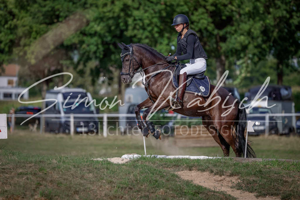 20250907-_3LI9153 | Tierfotografie Pferde, Hunde, Katzen, Haustiere.
Turnierfotografie Reitturniere, Reiten, Springreiten, Dressur in Hanau, dem Main-Kinzig-Kreis und dem Rhein-Main- Gebiet um Frankfurt