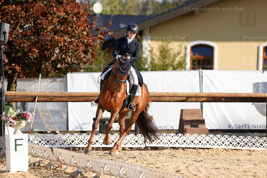09_1-143-DRESSUR  S_  -StoibPH-5554 | working equitationturnier fotograf videograf stoibphotography marixx film working equitation deutschland reitsport turnierfotografie eventfotografie equestrian events