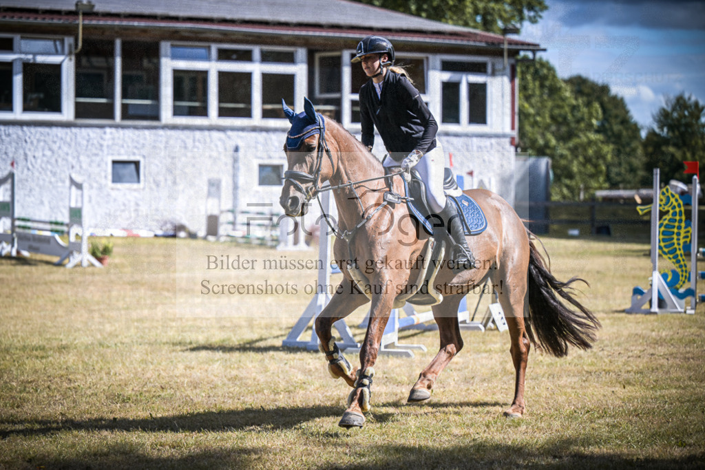DOS_0912 | Entdecke hochwertige Reitturnierfotos von Foto Oger. Professionell, emotional und authentisch – jetzt Lieblingsmomente im Shop bestellen.Deutschlandweite Turnierfotografie. - Realisiert mit Pictrs.com