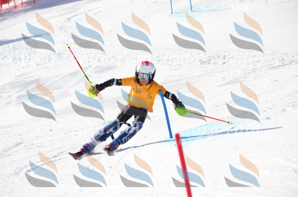 C6509 | holidayphoto