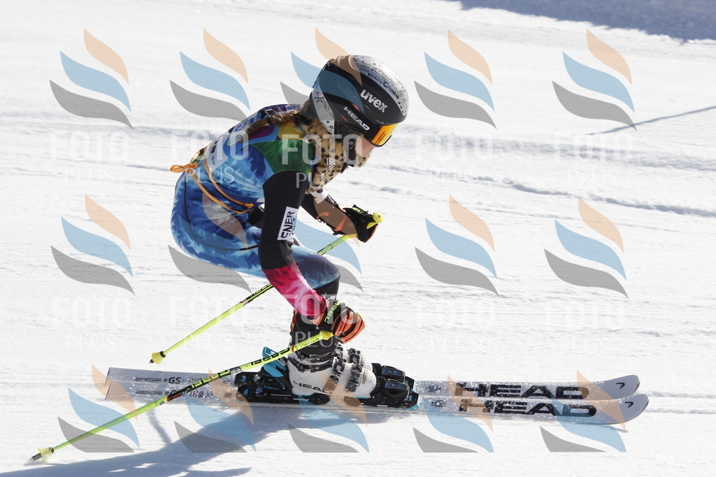 _U3G8577 | holidayphoto